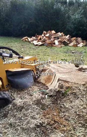 Devis Dessouchage arbre et haie a Quevert