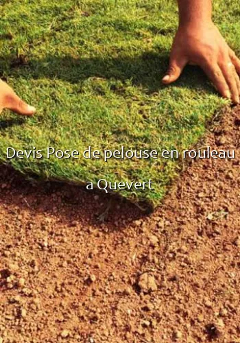 Devis Pose de pelouse en rouleau a Quevert