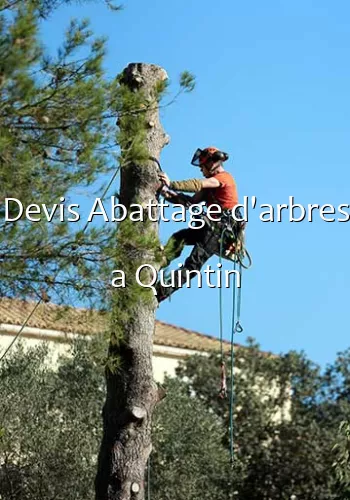Devis Abattage d'arbres a Quintin