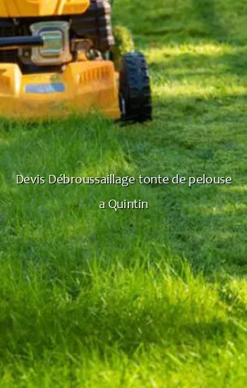 Devis Débroussaillage tonte de pelouse a Quintin