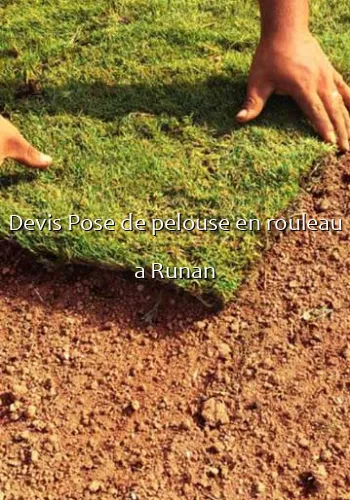 Devis Pose de pelouse en rouleau a Runan
