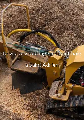 Devis Dessouchage arbre et haie a Saint Adrien