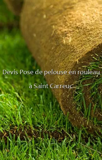 Devis Pose de pelouse en rouleau a Saint Carreuc