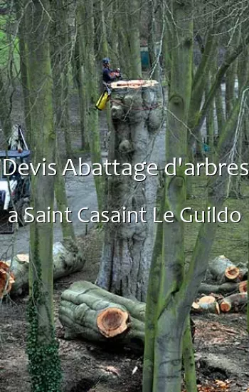 Devis Abattage d'arbres a Saint Casaint Le Guildo