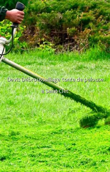 Devis Débroussaillage tonte de pelouse a Saint Clet