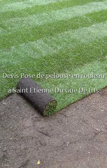 Devis Pose de pelouse en rouleau a Saint Etienne Du Gue De L Is