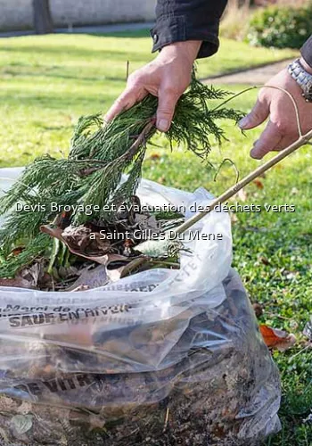 Devis Broyage et évacuation des déchets verts  a Saint Gilles Du Mene