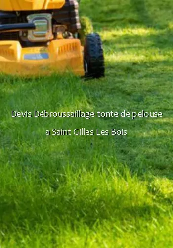 Devis Débroussaillage tonte de pelouse a Saint Gilles Les Bois