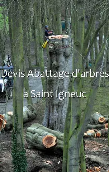 Devis Abattage d'arbres a Saint Igneuc