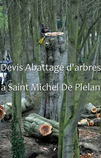 Devis Abattage d'arbres a Saint Michel De Plelan
