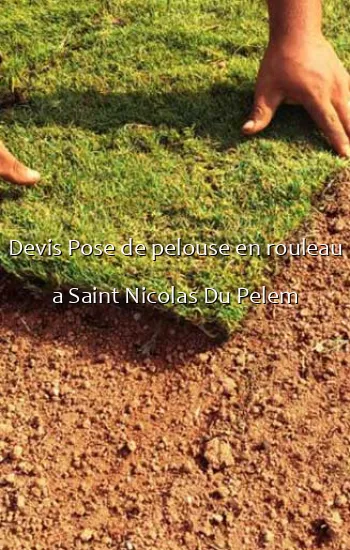 Devis Pose de pelouse en rouleau a Saint Nicolas Du Pelem