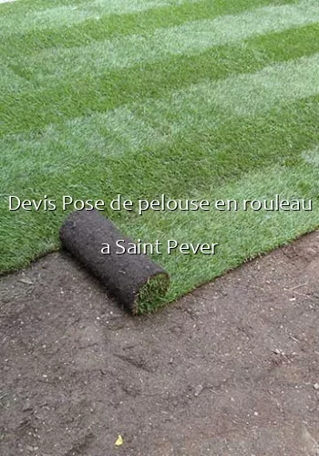 Devis Pose de pelouse en rouleau a Saint Pever