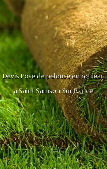 Devis Pose de pelouse en rouleau a Saint Samson Sur Rance