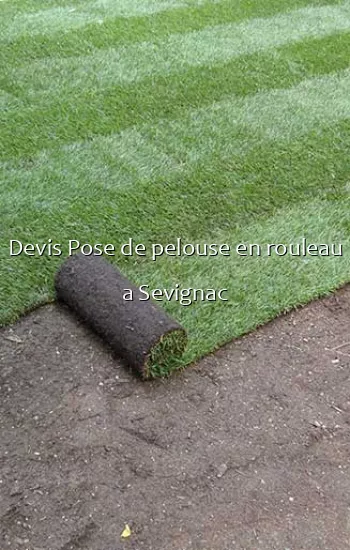 Devis Pose de pelouse en rouleau a Sevignac