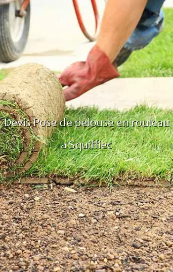 Devis Pose de pelouse en rouleau a Squiffiec