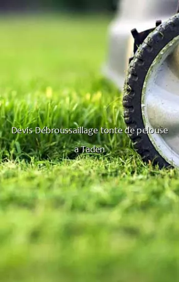 Devis Débroussaillage tonte de pelouse a Taden