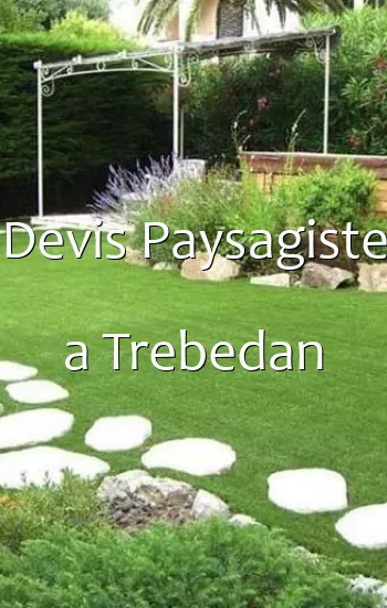 Devis Paysagiste a Trebedan
