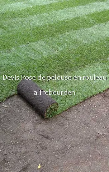 Devis Pose de pelouse en rouleau a Trebeurden