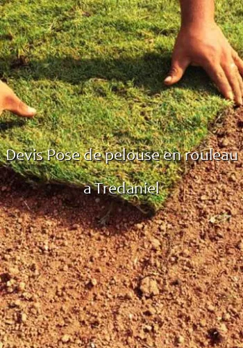 Devis Pose de pelouse en rouleau a Tredaniel