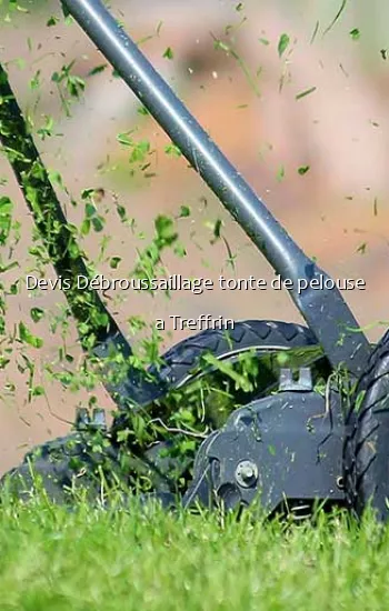 Devis Débroussaillage tonte de pelouse a Treffrin