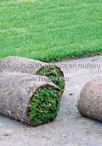 Devis Pose de pelouse en rouleau a Tregomeur