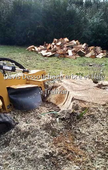 Devis Dessouchage arbre et haie a Trelivan