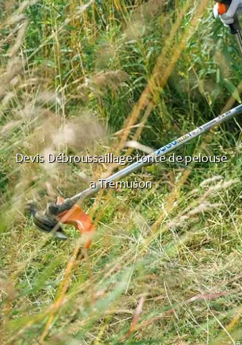 Devis Débroussaillage tonte de pelouse a Tremuson