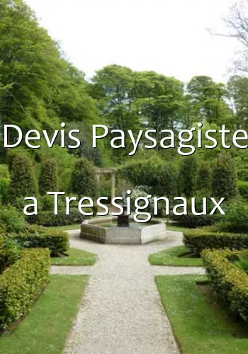 Devis Paysagiste a Tressignaux