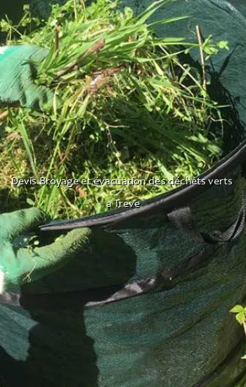 Devis Broyage et évacuation des déchets verts  a Treve