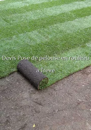 Devis Pose de pelouse en rouleau a Treve