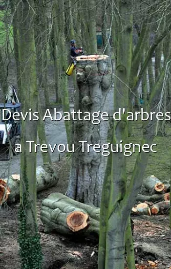 Devis Abattage d'arbres a Trevou Treguignec