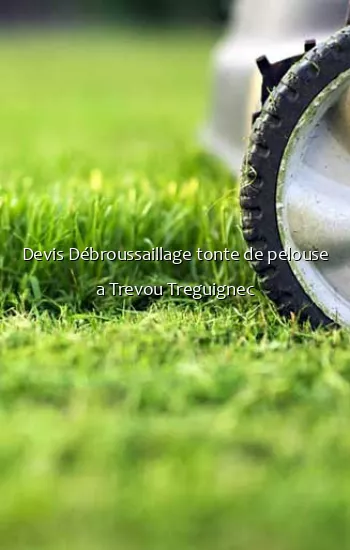 Devis Débroussaillage tonte de pelouse a Trevou Treguignec