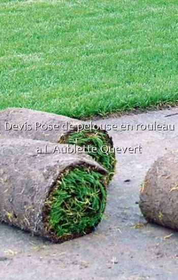 Devis Pose de pelouse en rouleau a L Aublette Quevert