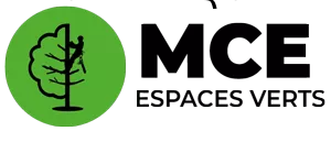 elagage-elagage-le-guern