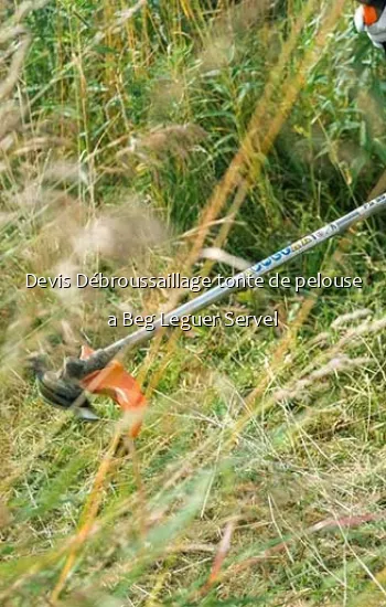 Devis Débroussaillage tonte de pelouse a Beg Leguer Servel