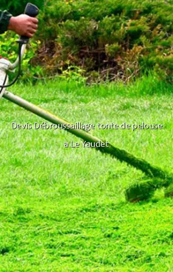 Devis Débroussaillage tonte de pelouse a Le Yaudet