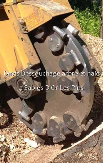 Devis Dessouchage arbre et haie a Sables D Or Les Pins