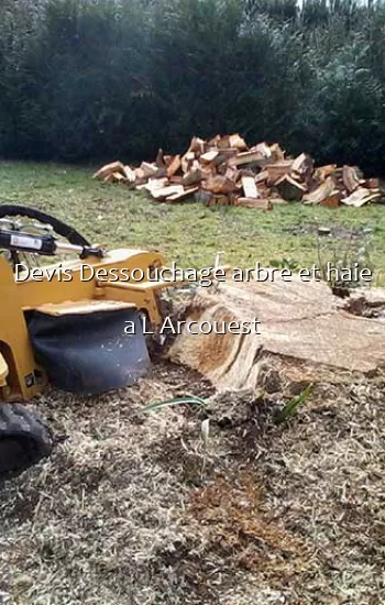 Devis Dessouchage arbre et haie a L Arcouest