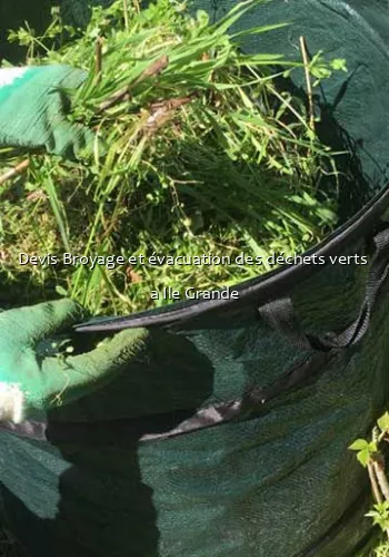 Devis Broyage et évacuation des déchets verts  a Ile Grande