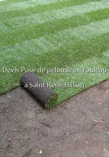 Devis Pose de pelouse en rouleau a Saint Rene Hillion