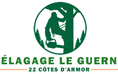elagage-elagage-le-guern
